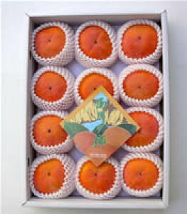 yzc񂿂̂ƂĂÂu̕xL`v2LTCY12i4Lj11{菇yiفzuYnv