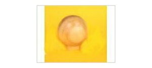 WAKI �ؐ��c�}�~�@TW-324�q�p�C���r�y�z�[���Z���^�[�EDIY�فz