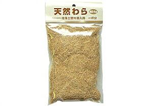 tWw@]yǍޗpVR@24gyz[Z^[EDIYفz