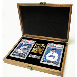 E170 PSAӒςݖ{ۏ!!uJĕvg[fBOJ[h2Zbg!!