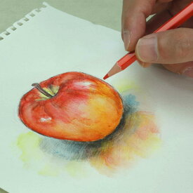 楽天市場 水彩 色えんぴつ48 色 世界遺産の通販