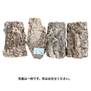 �ycork-S3�z�o�[�W���R���N�@�R���N����@S�T�C�Y�@�c30-35�@��20�@�{���@�t�@�����@�r�o���E���@���v�^�C���@�R�E���������@�G�A�v�����c�@�r�J�N�V�_�@঒��ށ@�����@������