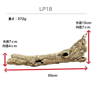 iLP18`LP21jo[WRN@RN@VF^[@^@}@LTCY@c49`60cm@{@t@@roE@v^C@RE@GAvc@rJNV_@