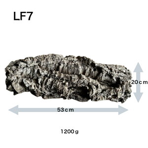 (LF7,9,10)バージンコルク コルク樹皮 板状 Lサイズ 縦53-59cm 養生 板付 活着 ビバリウム レプタイル コウモリラン エアプランツ ビカクシダ 爬虫類 昆虫 両生類