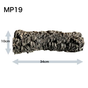 yMP19-23zo[WRN@RN@@VF^[@h[@MTCY@{@t@@roE@v^C@RE@GAvc@rJNV_@঒ށ@