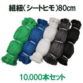 シートヒモ 組紐 80cm 10,000本セット メッシュシート 結束 外部足場 くさび足場 枠組足場 次世代足場 仮設 架設 現場 シートひも 防音シート 建築 現場 シート接続ひも 防炎シート 固定縛り 2類 足場シート カットひも 養生 繰り返し 外構 塗装 ブルーシート 張り