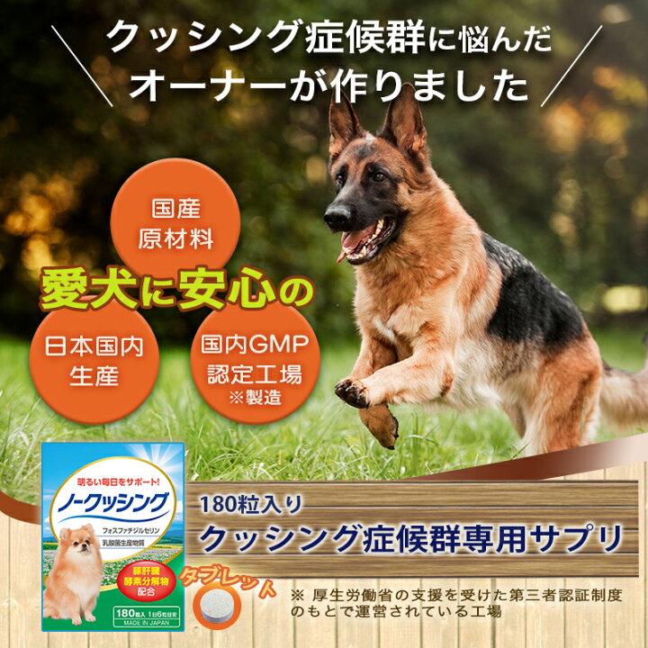 楽天市場 犬 クッシング 対策 サプリ ペット用 ペット用サプリ ノークッシング メール便 送料無料 ポイント 倍 犬専用 ホスファチジルセリン グリシン フェルラ酸 スルフォラファン 配合 Pk ジャパンネットライフ