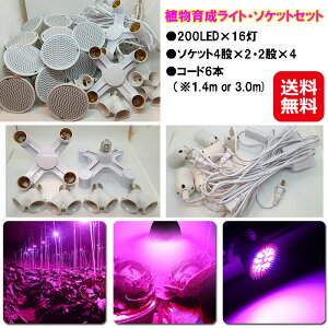 A琬Cg led 16 v \Pbg Zbg yA琬CgE\PbgZbg(200LED×16E4×2E2×4ER[h6{)zyzy|Cg 2{zACg  E27Ή R