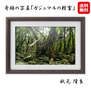 �J�^�t�H�g �J�^�ʐ^ �H������ ��Ղ̎ʐ^ �J�^ �K�^ ���������y��Ղ̎ʐ^�u�K�W���}���̐���v�z�y���������z�y�|�C���g2�{�z�X�s���`���A���t�H�g�O���t�@�[ �J�^���� ��� ���N ��