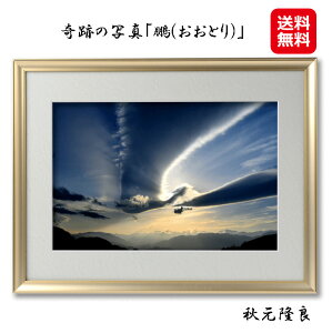 �J�^�t�H�g �J�^�ʐ^ �H������ ��Ղ̎ʐ^ �J�^ �K�^ ���������y��Ղ̎ʐ^�u�Q(�����Ƃ�)�v�z�y���������z�y�|�C���g2�{�z�X�s���`���A���t�H�g�O���t�@�[ �J�^���� ��� ���N �����i 