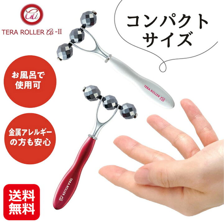 楽天市場】【テラローラー・アイ2】【送料無料】【ポイント 2倍～10倍 