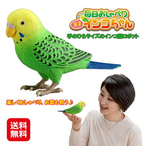 インコ おもちゃの人気商品 通販 価格比較 価格 Com インコ おもちゃの人気商品 通販 価格比較 価格 Com