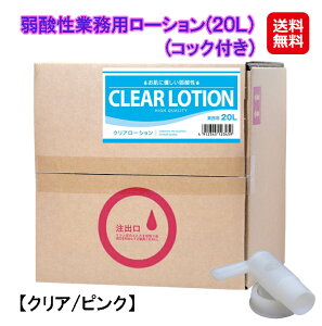 _Ɩp[V(20L) (RbNt)NA/sN yzy|Cg 2{zWF  [V Ɩp eʂ20bgIƖp[VI[V  