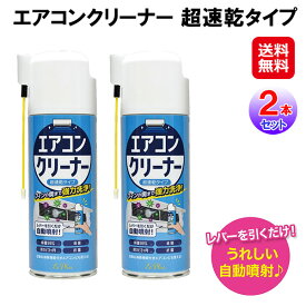 【エアコンクリーナー 超速乾タイプ 2本セット】【送料無料】【ポイント 2倍】自動お掃除機能付きエアコンにもOK！エアコン洗浄スプレー 420ml 自動噴射 自分で エアコン掃除 内部 フィン 掃除 エアコン 除菌 消臭 抗菌 カビ防止 界面活性剤フリー 大掃除 グッズ dap