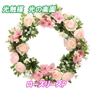  t[AWg G} lHA KN ̓ v[gyG}@̊y @[Y[XPzy|Cg 2{zJɐl̎ɂđĂlHAłB sl