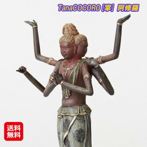  tBMA u A C yCSiCXj TanaCOCORO[] Czyzy|Cg {`3{zJ̔N OʘZ]̊Ղ̑^ sl