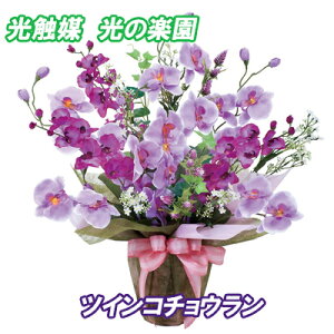  t[AWg G} lHA Ӓ ̓ v[gyG}@̊y@cCR`Ezyzy|Cg {zJɐl̎ɂđĂ