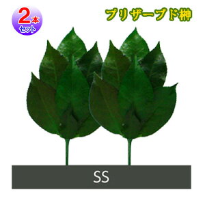 yvU[uh SSTCY(2{g)zy|Cg 2{zvU[uht[    { sv   OgY̍֗tgpYuU[uhI sl