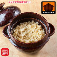 浸水なし！洗米から炊飯まで35分！【レンジで玄米炊飯セット】【送料無料】【ポイント 2倍】ケデップ 電…