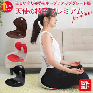 座椅子 姿勢 矯正の人気商品・通販・価格比較 - 価格.com