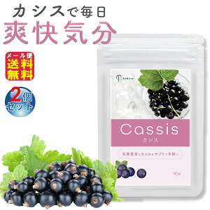 yCassis JVX 90(2Zbg)zy[֑zy|Cg 2{zJVX Tv Tvg 1 AgVAj r^~ Je ATC[ x[ ڂ̃Tv X}z p\