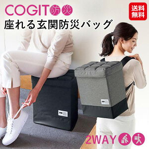 yCOGITh 錺֖hЃobOzyzy|Cg 2{zRWbg hЃbNɂȂ錺փ`FA hЃobO ֎qɂȂ bN e  hЃbN h Pi  ob