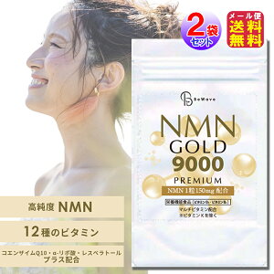 �yNMN GOLD 9000(2�܃Z�b�g)�z�y���[���� ���������z�y�|�C���g 2�{�`10�{�znmn �T�v�� ���{�� 9000mg 1������ 60�� ���e ���N ��J �P�A �ԃ��C���G�L�X ���X�x���g���[�� �R�G���U�C��Q10 �j�R�`���A