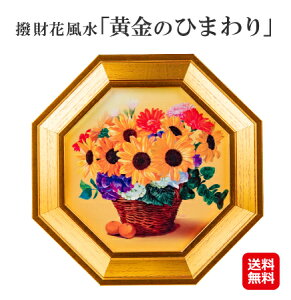 yԕ@ûЂ܂vzyzy|Cg2{`5{zԕ   Ђ܂ S[h zIȕ K ^  G G z Ǌ| CeA J^ObY