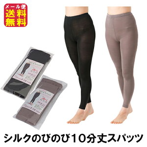 yVN̂т̂10Xpbczy[֑zy|Cg 2{zVN ̂т̂ Xpbc  fB[X }`t MX 10 Lk 傫TCY { ₦΍ t 