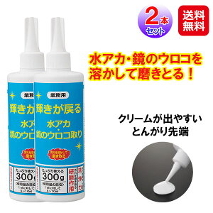 yƖp P߂鐅AJẼER 2{gzyzy|Cg 2{znEXN[jO Ɩp C 낱 VN C Ƃ  C  KX E