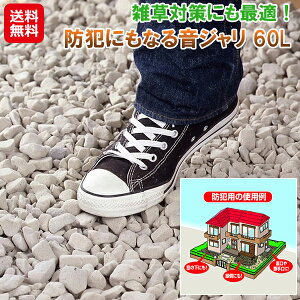 yhƂɂȂ鉹W 60Lzyzy|Cg 2{zʏ̍傫 h  ~ 60l ItzCg uE  sR ΍ h  ɕ~  TCN