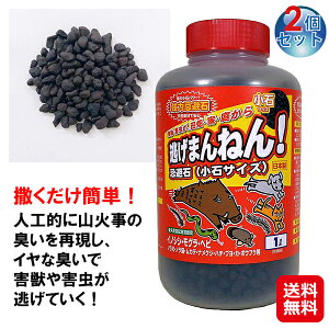 yVR͊ ܂˂ ΃^Cv(2Zbg)zyzy|Cg 2{z T ̗ ʖ2 VRf100  O  Q΍ Qb΍ O wr 