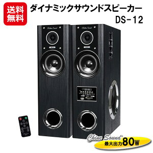 ^[^ Av Xs[J[ 剹 80w ؖڒy_Ci~bNTEhXs[J[ DS-12zyzy|Cg 2{zTEhXs[J[ I[fBI AV@  Rt fB