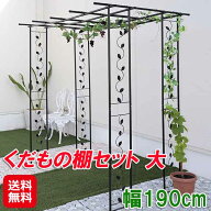 【くだもの棚セット 大】【送料無料】【ポイント 2倍】パーゴラ 果樹棚 セット ぶどう棚 キウイ棚 つる棚…