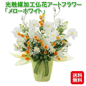 G}   tFCNO[ R L CyG}HԃA[gt[u[zCgvzyzy|Cg 2{zlHϗtA lA tFCNt[ G