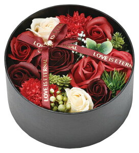 yhV̓ Mtgz ̓ Mtg 2024 \[vt[ t[{bNX MtgV{EhBOXnEB hLhLz[e RXgR