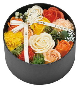 ̓ Mtg 2024 \[vt[ t[{bNX MtgV{EhBOXnEB hLhLz[e RXgR