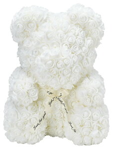  v[g J[l[V o t[ h[ xA[YL PF9J[ Mtg  xA ʂ v[g  ԑ \[v ꂳ a LO  e  ސE  30