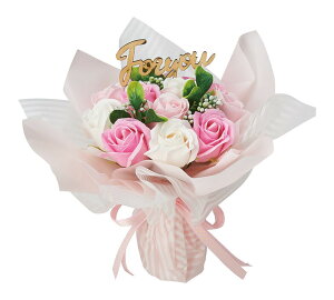 yhV̓ Mtgz AuV{u[PnEB hLhLz[e RXgR