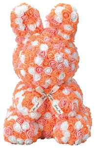 yhV̓ Mtgz  v[g t[h[ rbg[YL [Yrbg [{[ gsJ Mtg 2024  rbg ʂ v[g  ꂳ o KN a