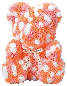 yhV̓ Mtgz  J[l[V  v[g t[h[ xA[YL t[xA Mtg  xA ʂ v[g  ԑ t[Mtg ꂳ a L