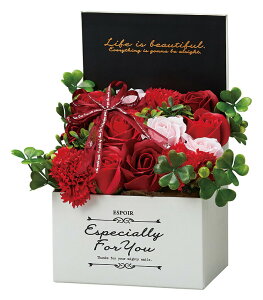 yhV̓ Mtgz \[vt[ {bNX t[{bNX GKgV{BOX M Mtg v[g ͂Ȃ ̓ a   w LO  e   30 40 5