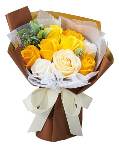 ubNtCf[ \[vt[ J[l[V [Y  LO ̓ v[g Mtg \[vt[ X^fBOL[g 9փu[P ͂Ȃ Mtg a j