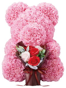 yhV̓ Mtgz  J[l[V [Y  F v[g Mtg 2024 5 V{u[P xA[YnEB hLhLz[e RXgR