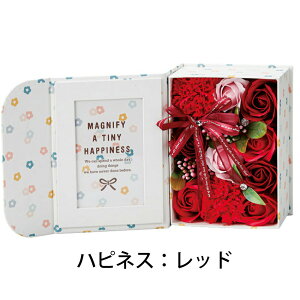 \[vt[ J[l[V o v[g Mtg v[g \[vt[ tHg ubN 2024N nslX t[t a ̓  LO v[g  ԑ V{t