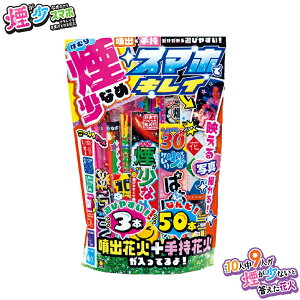 SMO Ȃ߃X}zŃLC ԉ΃Zbg lߍ Be Ȃ ԉ΃Zbg 莝ԉ ԉΑ   ii qnEB hLhLz[e RXgR