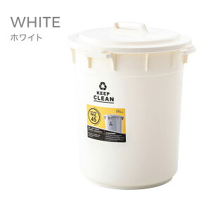 フタ付きダストボックス45L ラウンドペール 日本製 ごみ箱 ゴミ箱 45リットル バケツ型 ペール ロック機能 屋外 室内 庭 キッチン 分別 蓋付き 大容量 軽量 収納 おしゃれ シンプル スタイリッ