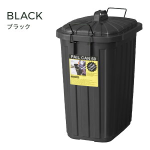 �S�~�� �_�X�g�{�b�N�X �y�[���J�� 60L �t�^�t ������� �K���[�W ���O�p �L�b�`���y�[�� �������� ���� ���Y �V���b�N�z�� �_����Q �����t �n���E�B�� �h���L�h���L�z�[�e �R�X�g�R