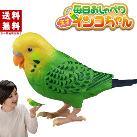 【楽天スーパーSALE】 毎日おしゃべり 天才インコちゃん タカラトミー しゃべる インコ おしゃべり おもちゃ 敬老の日 ギフト 脳トレ 会話 お歌 唄う 音声認識人形 お話し人形 ロボット 小鳥 毎日お喋り 人形 誕生日 プレゼント 介護 ペット シニア 父の日