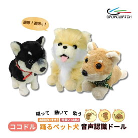 ヒーリングパートナー 歌って 会話ができて踊れる ポメラニアン 柴犬 黒柴 ロボット TALK-DOG ココドル Broadwatch 音声認識 コミュニケーション 電子ペット 敬老の日 高齢者 大人 子供 孫 年配の方 贈答 プレゼントに ハロウィン ドンキドンキホーテ